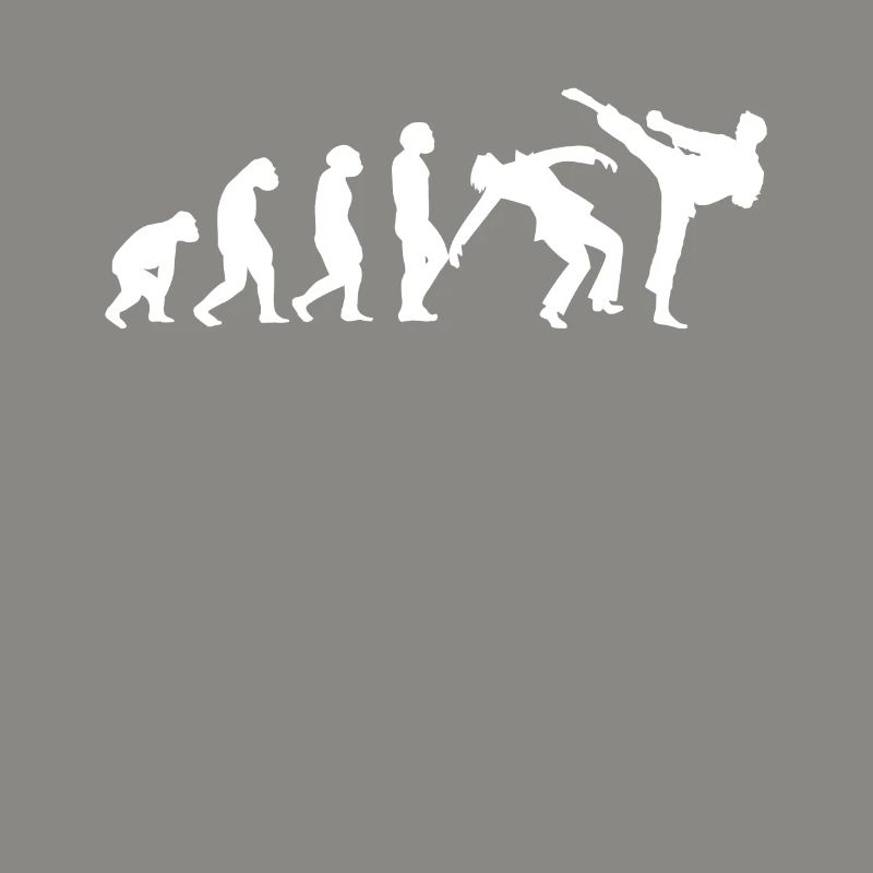 Evolution Taekwondo Karate Aikido Kickboxing