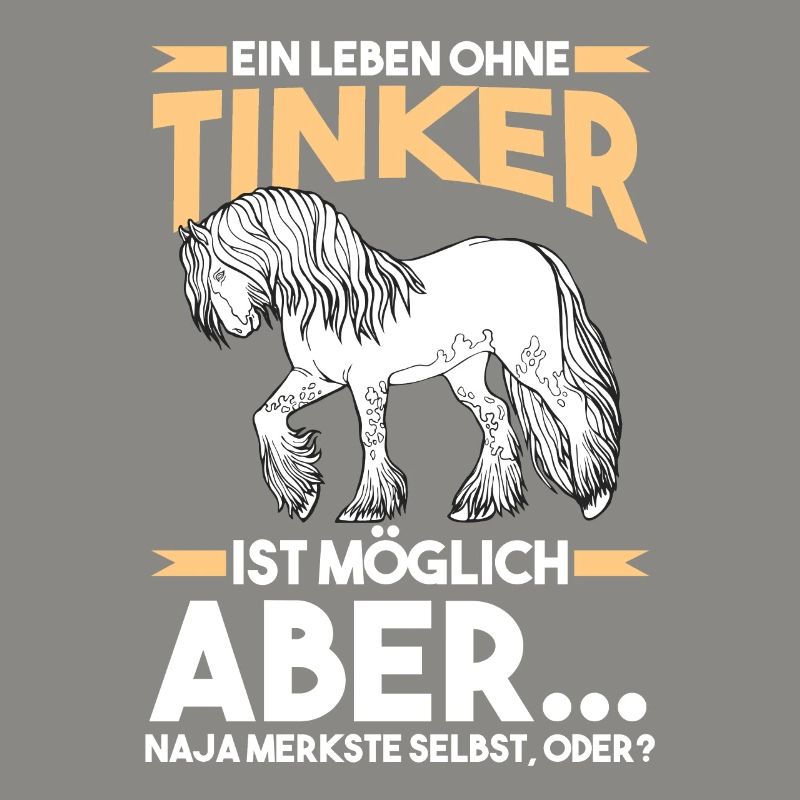Reitlehrer Tinker Pferd