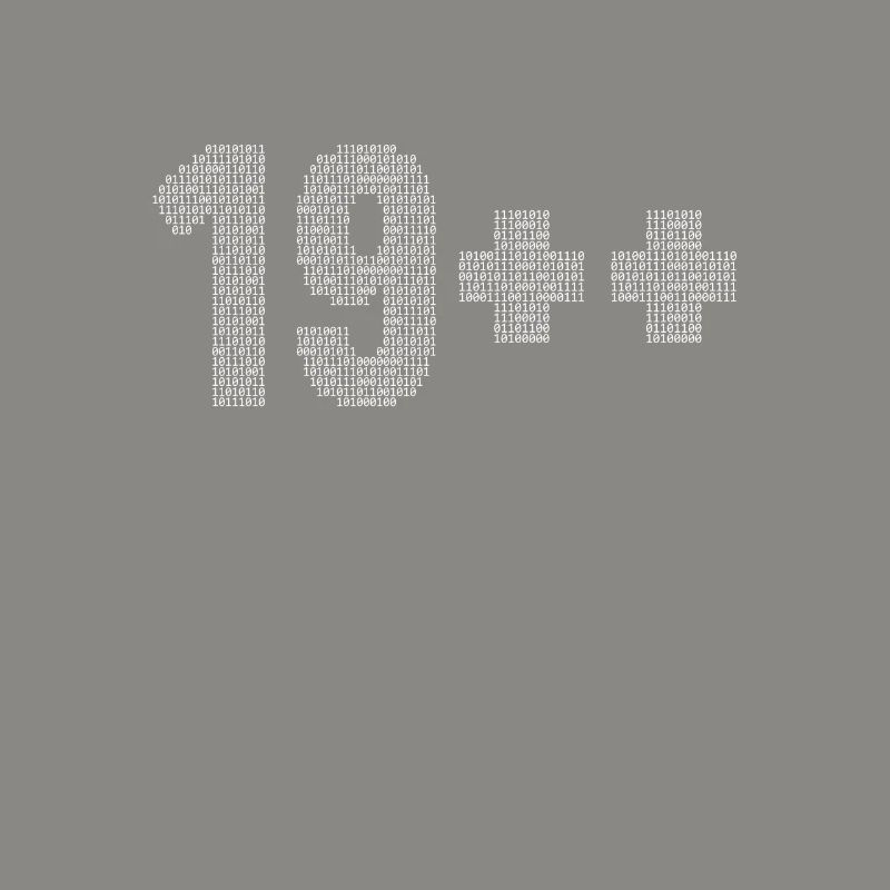 19++ Programmierer Softwareingenieur Coder 20.