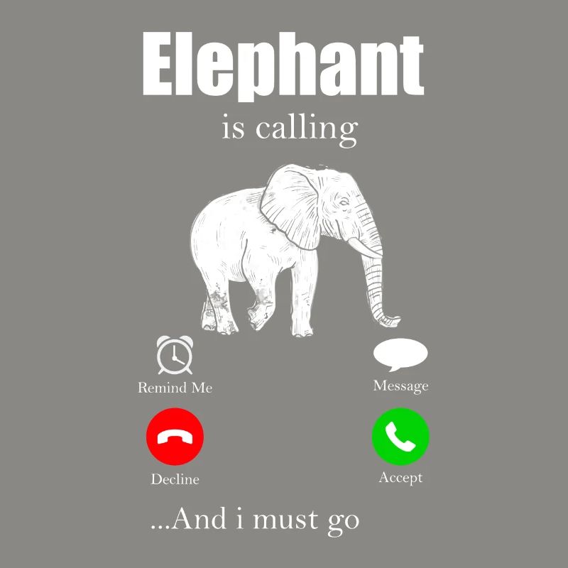 Éléphant Éléphant Éléphant Proboscis Zoo Cirque