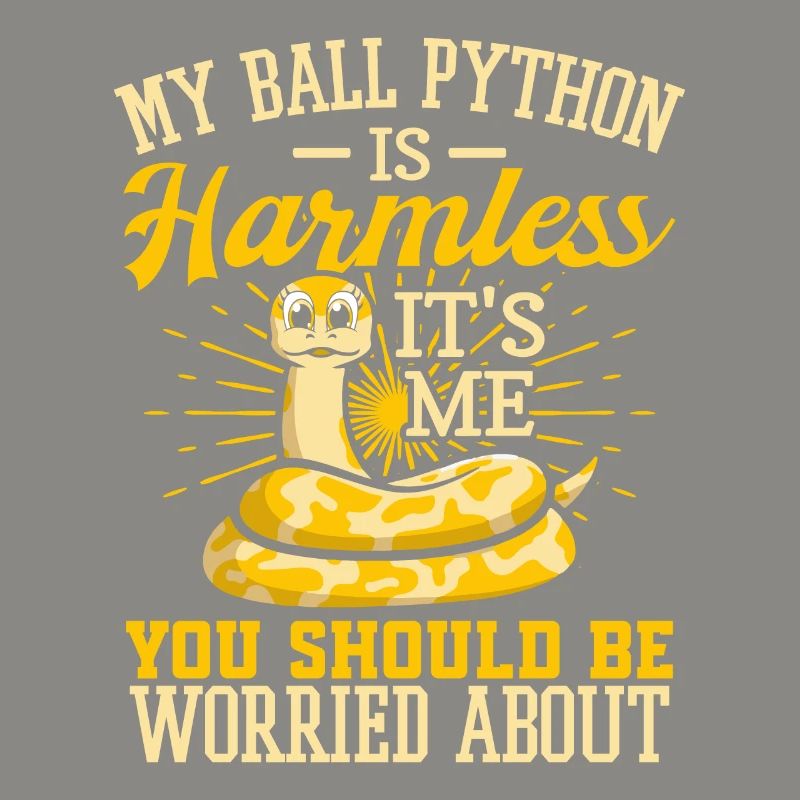 Königspython Schlange Python