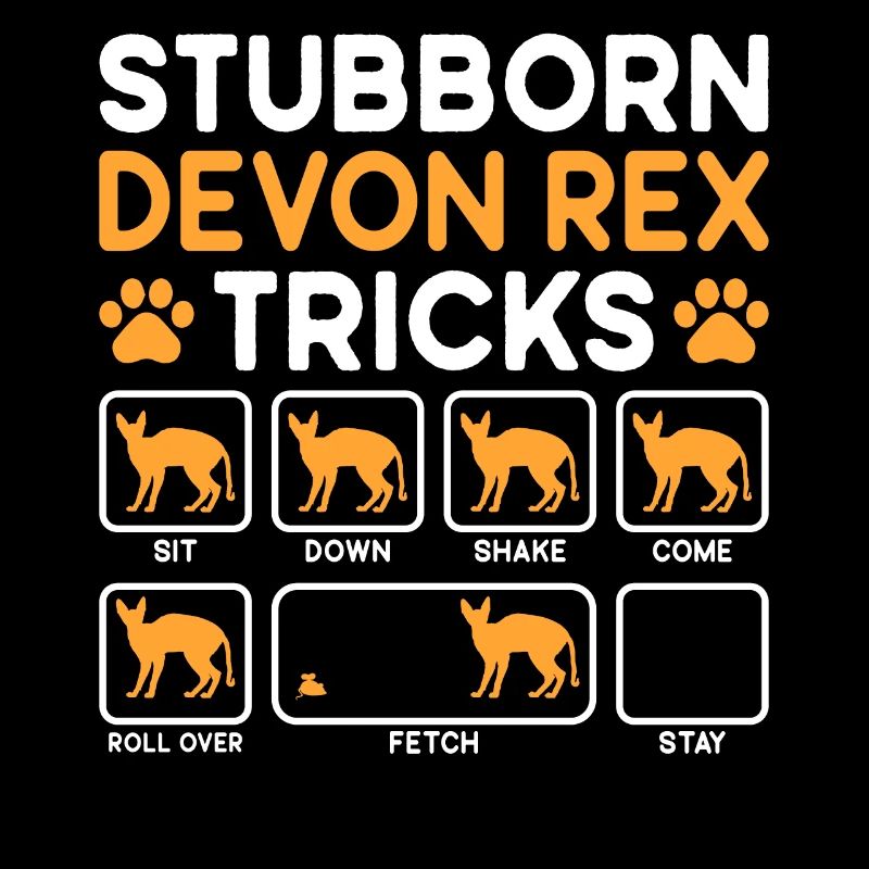 Tricks têtus Devon Rex Cat
