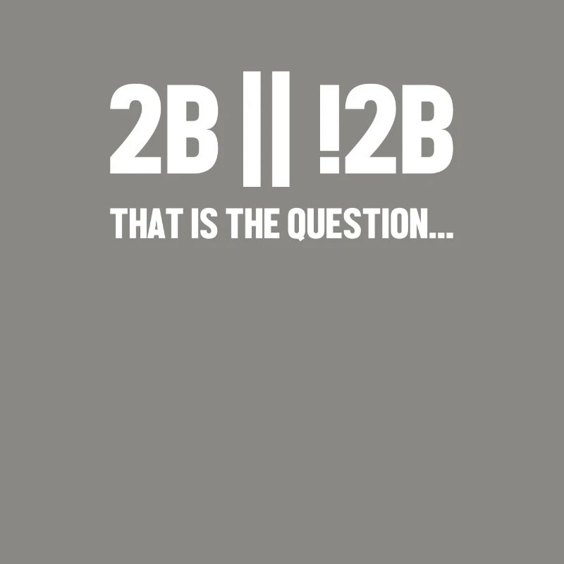 2B or not 2B Question Software Engineer Coder