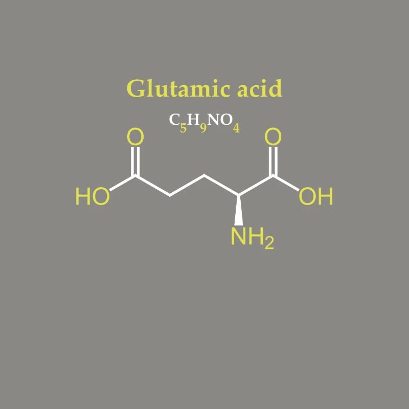 Molécule d’acide glutamique