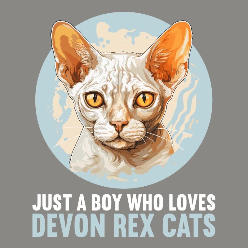 Chaton Devon Rex Chat Devon Rex