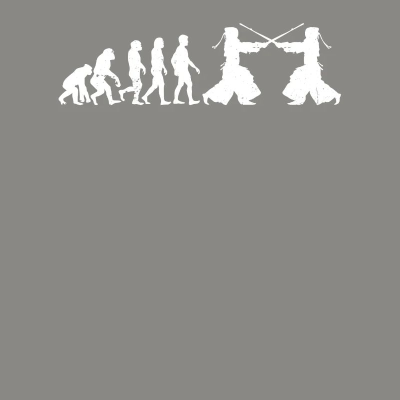 Kendo Fighter Kendo Evolution