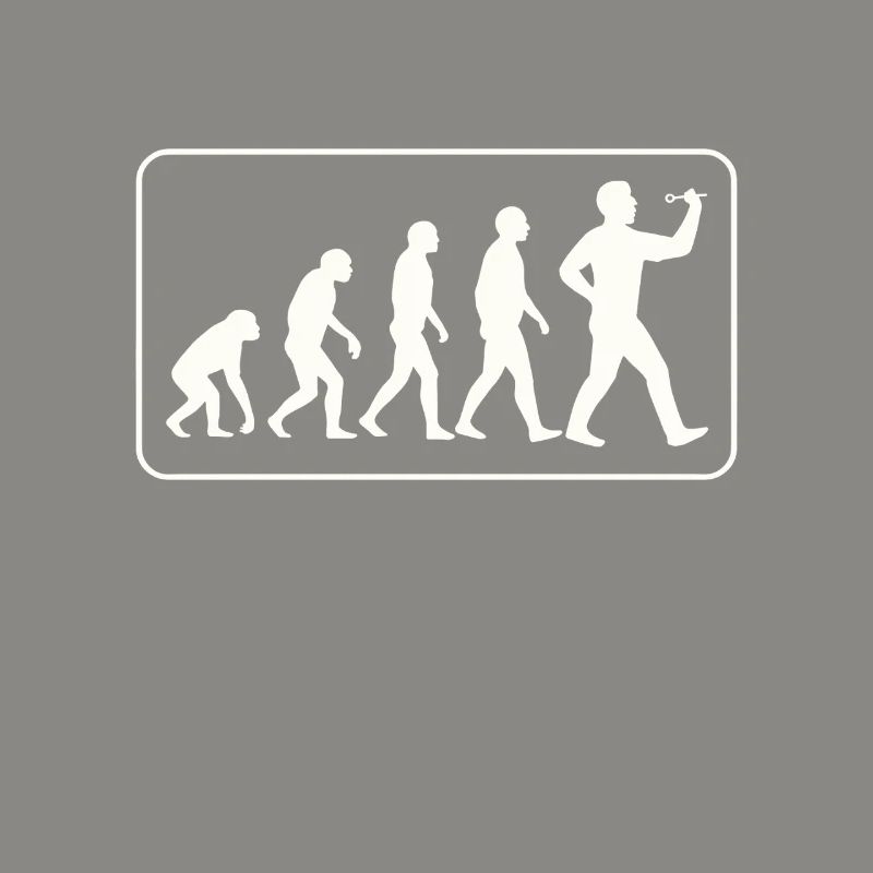Fléchette Evolution