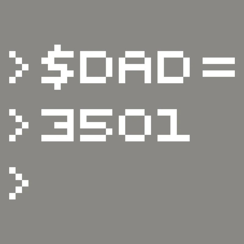 DAD Terminal de Pixels Nerd Code 8-Bits Rétro