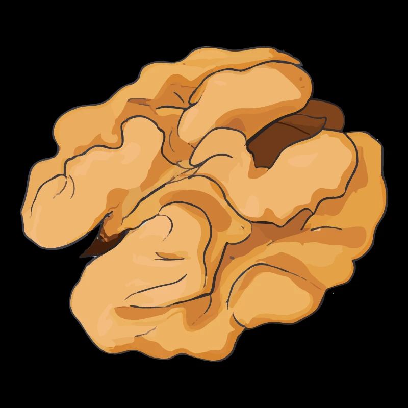 Walnut Illustration Gift Idea Nut Lovers