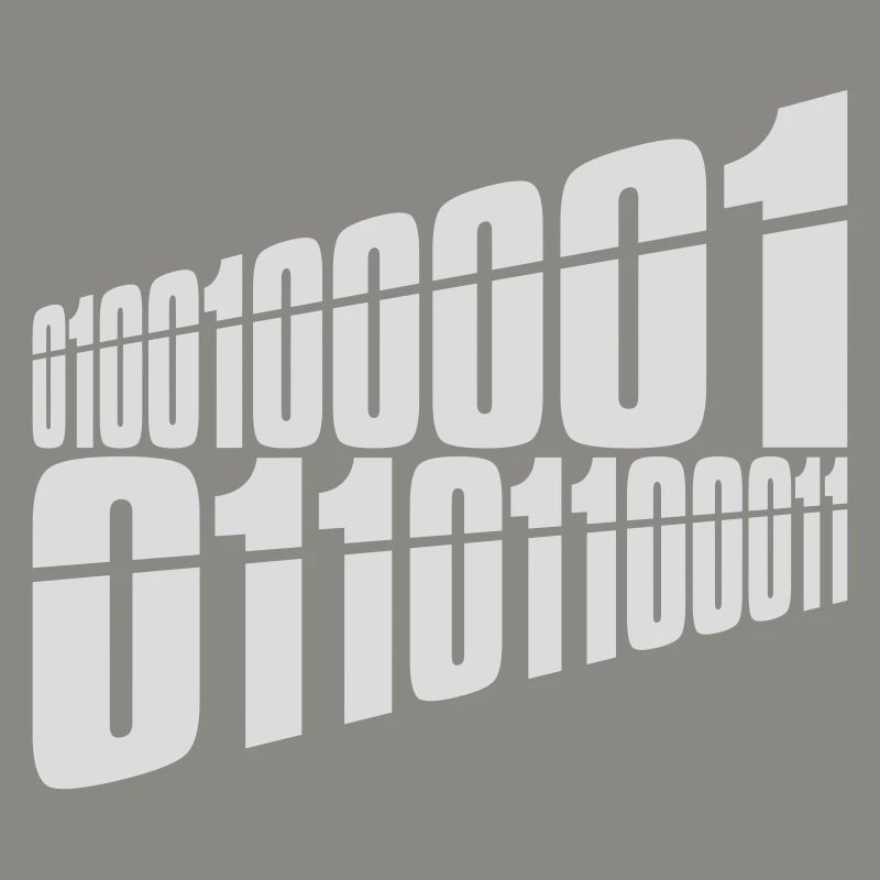 Binary Code Program Language