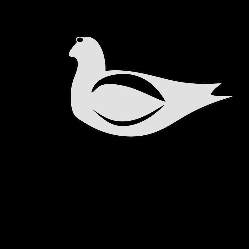Avocette
