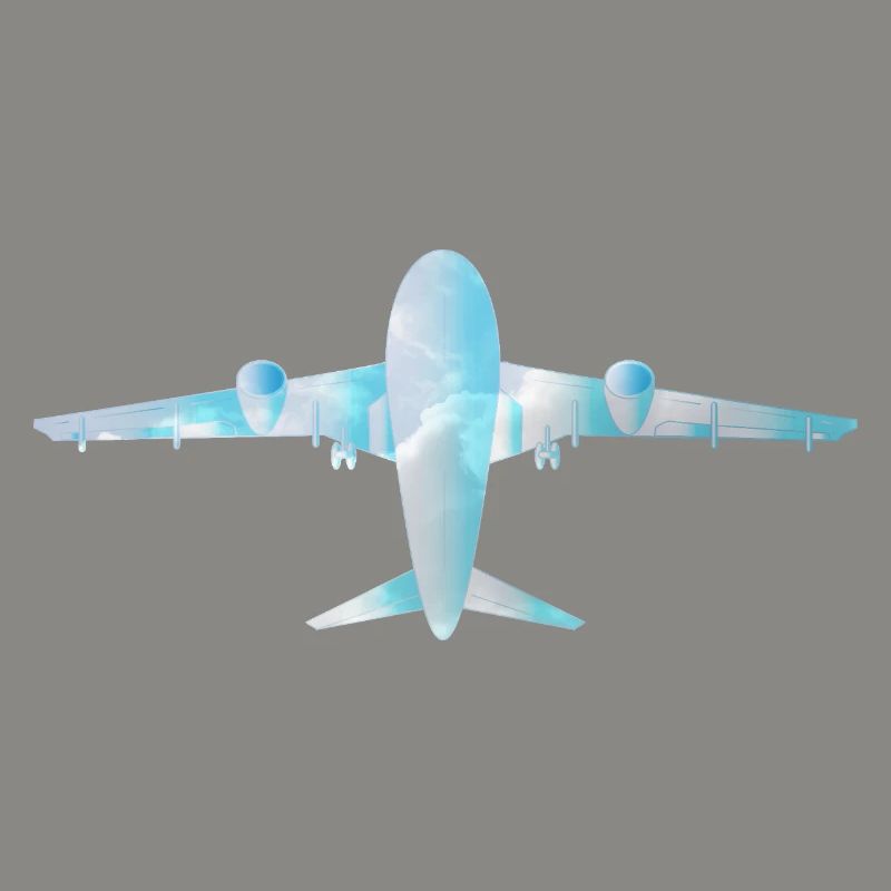 Passenger plane with cloud pattern