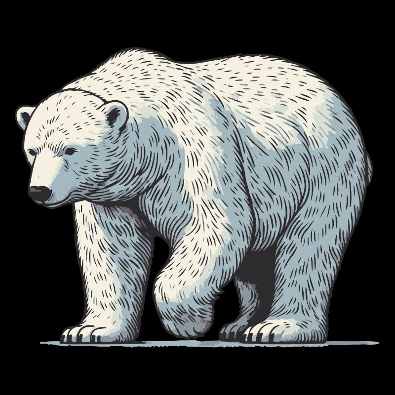 Ours blanc