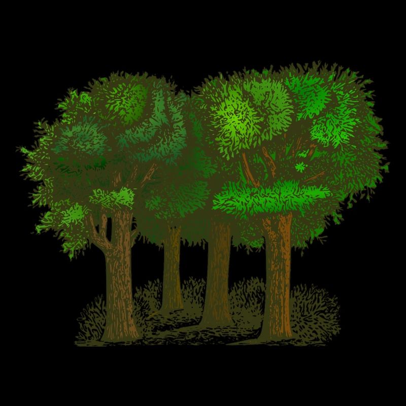 forêt