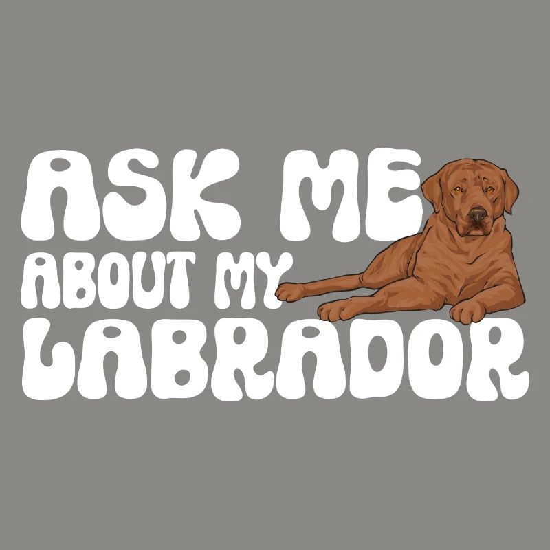 Foxred Labrador Fox Red Labrador Retriever