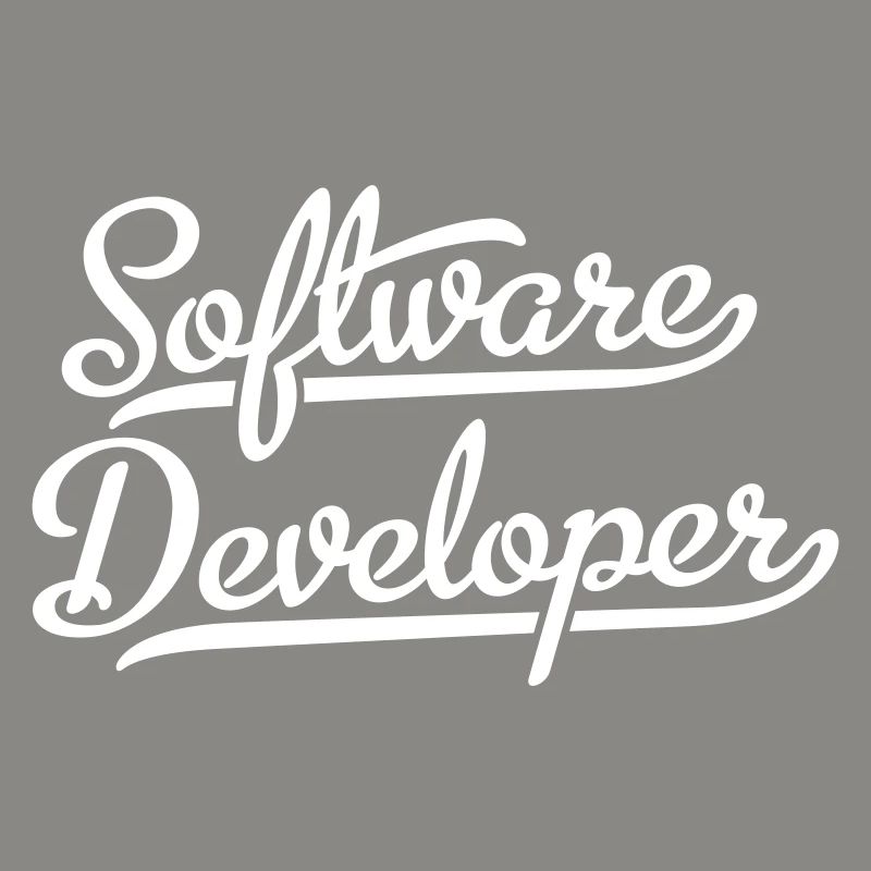 Software Developer