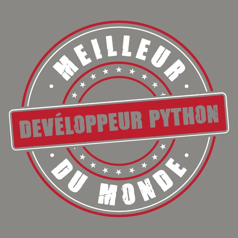 Meilleur développeur python profession métier PC