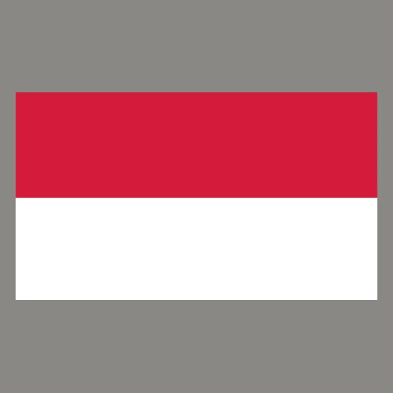 indonesia flag