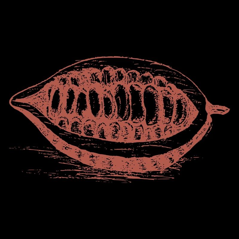 Fève de cacao