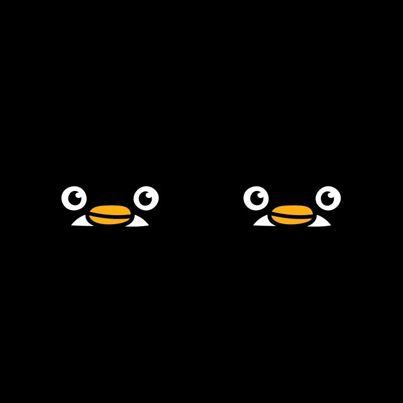 2 amis pingouins jetant un coup d’œil derrière le mur Équipe