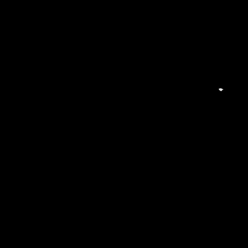 Eidechse