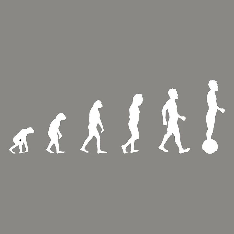 Gyrowheel evolution