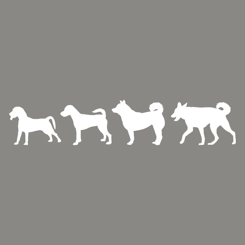 Hund Evolution