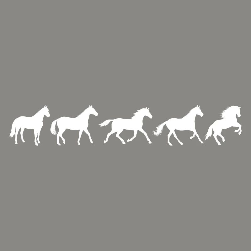 ! Evolution Pferd in Bewegung