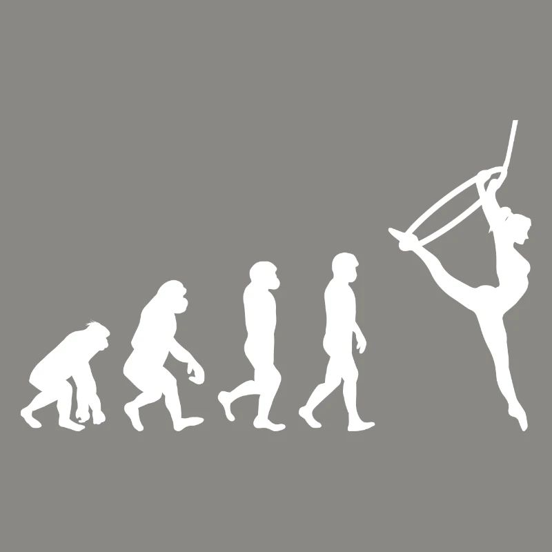 Aerial Hoop Lyra Circus Acrobatics Evolution