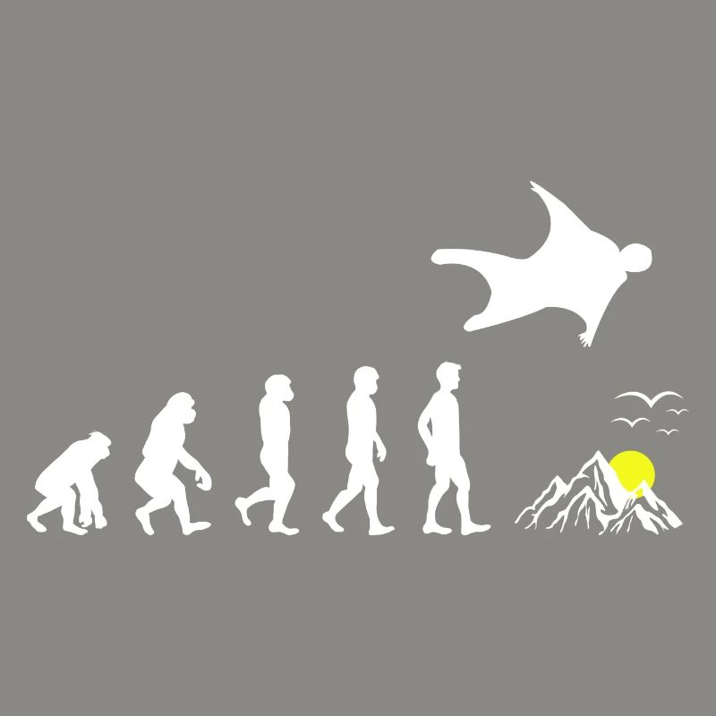 Wingsuit volant Base Jumping Skydiving Evolution