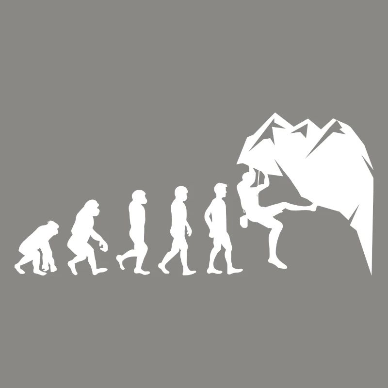 Escalade Bouldering Wall Climber Evolution