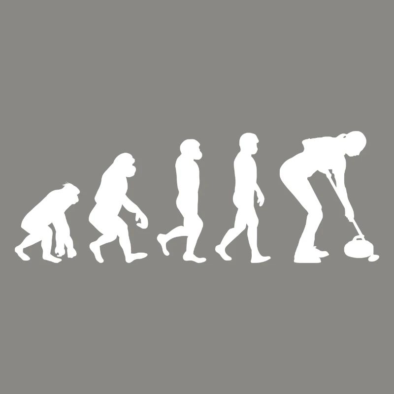 Curling Kehrfächer Winter Eissport Evolution