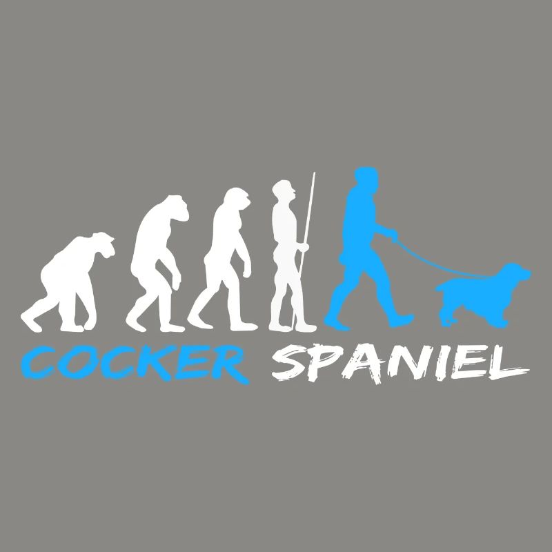 Cocker anglais Cocker Spaniel Chien Evolution