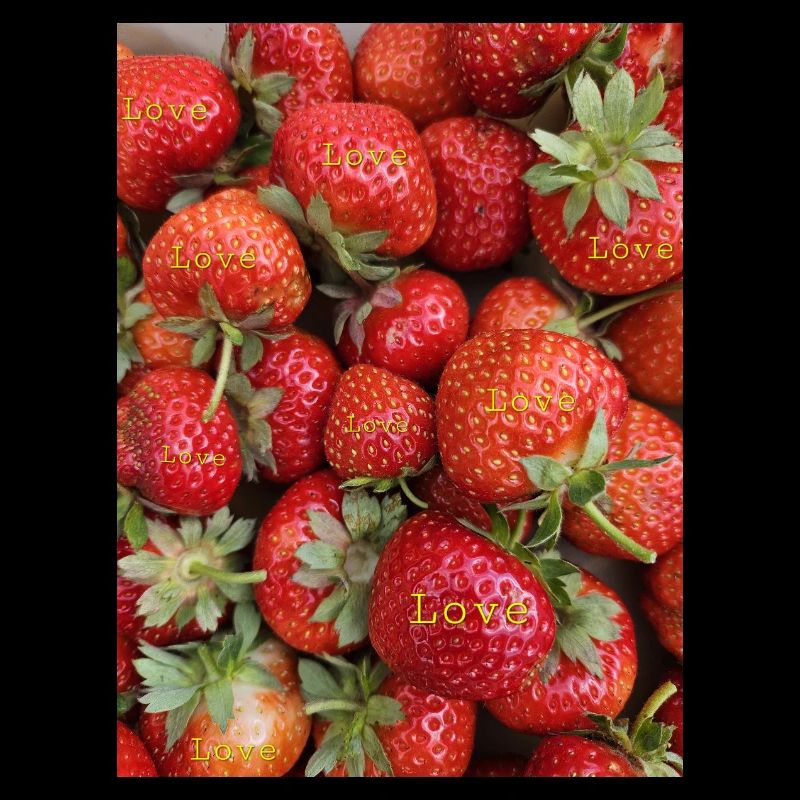 Fraises