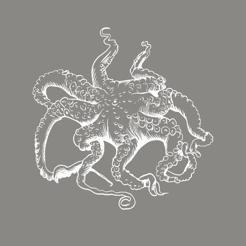 Octopus Squid Tentacle Ocean Ocean