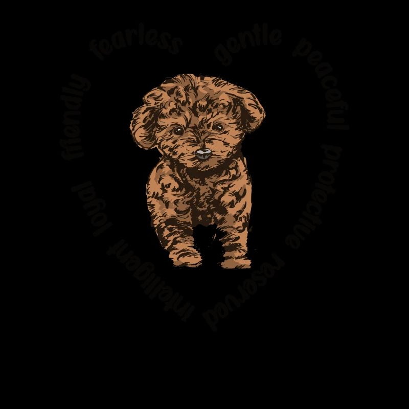 Cavapoo amoureux de chiens Cavoodle Mama Cavapoo