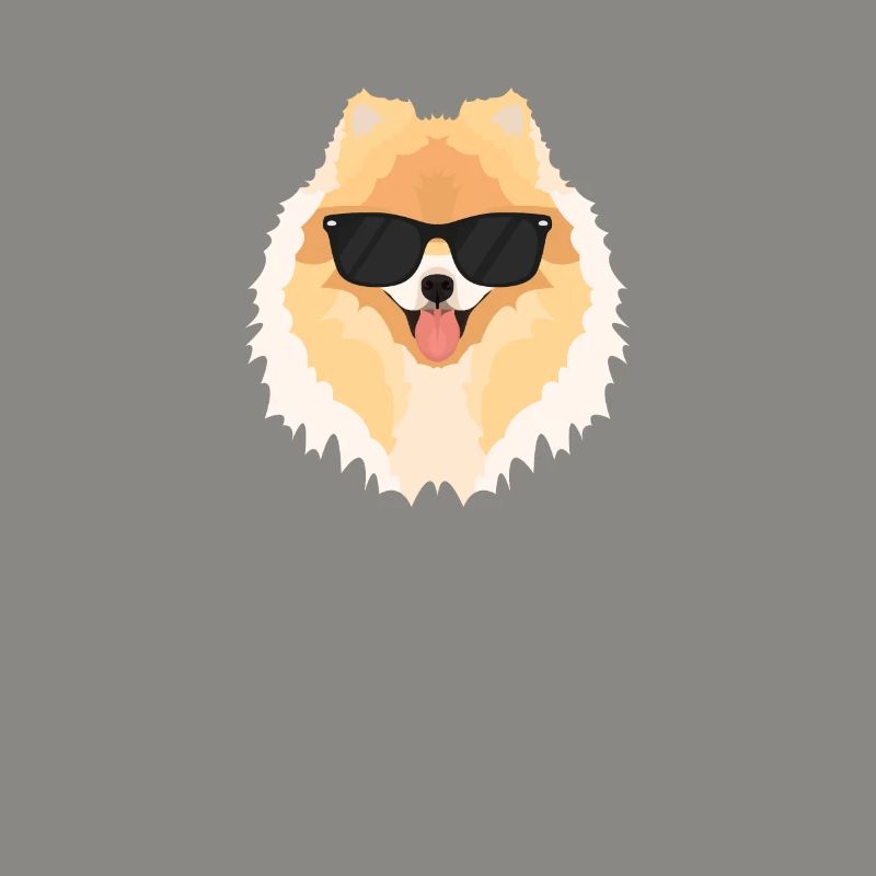 Mon spitz nain est le plus cool