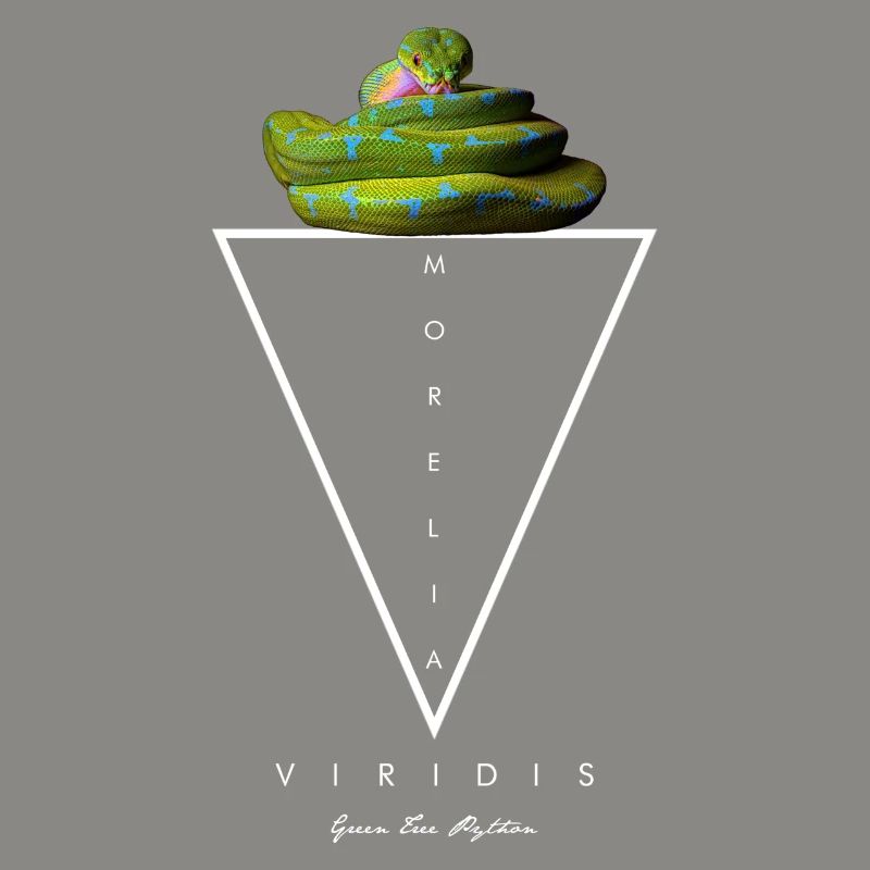 Arbre vert Python Géométrique moderne