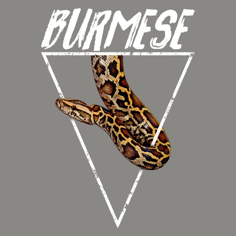 Burmesischer Python Besitzer Geometrisch