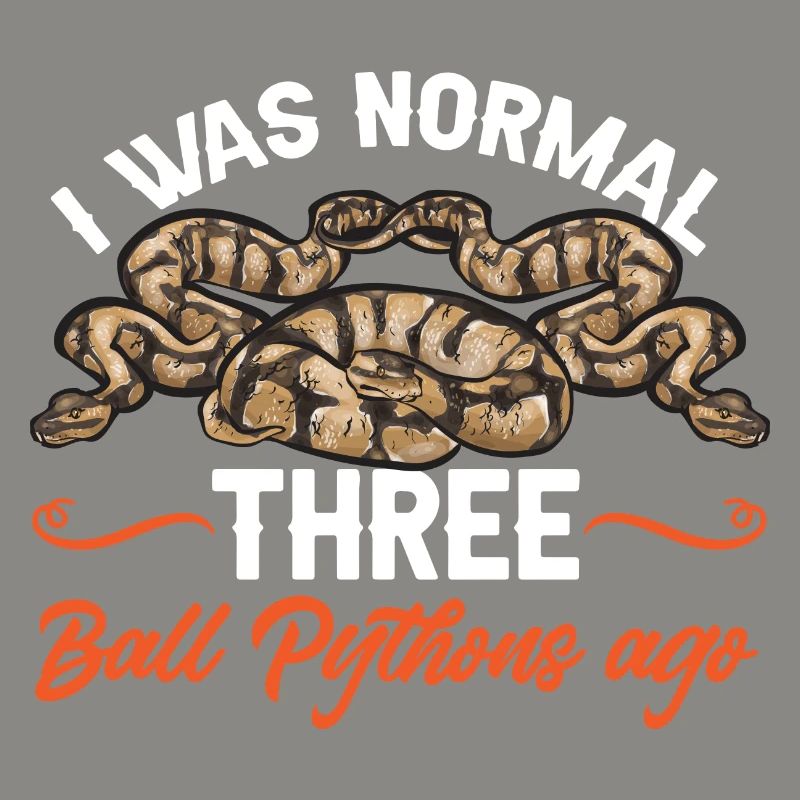Ball Python Schlange Königspython