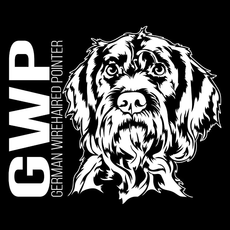 German Wirehaired Pointer Portrait Jagdhund Hunde