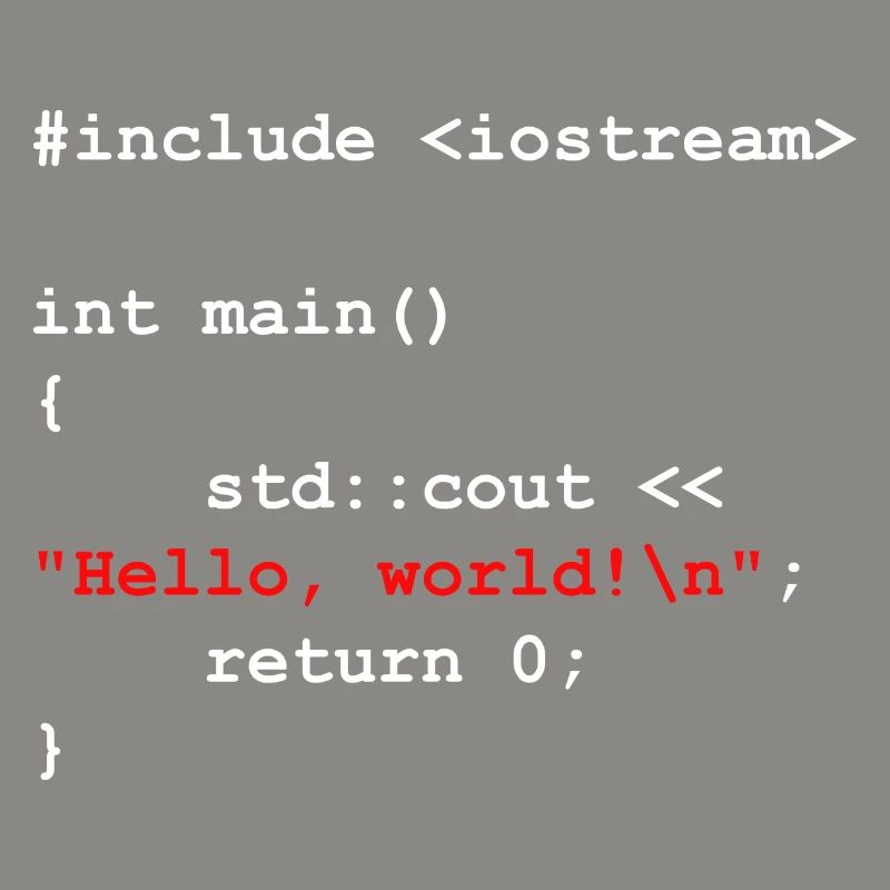 Programmierer Coder Software Entwickler