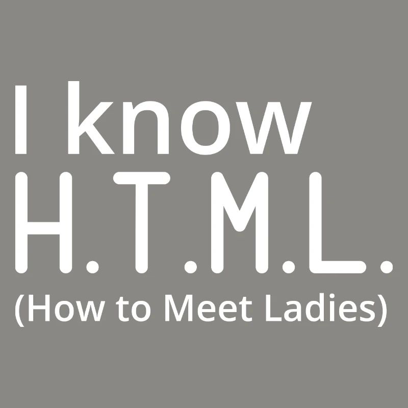 I Know HTML How To Meet Ladies Programmer Computer
