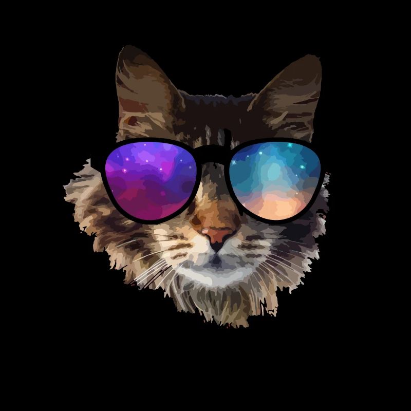 chat