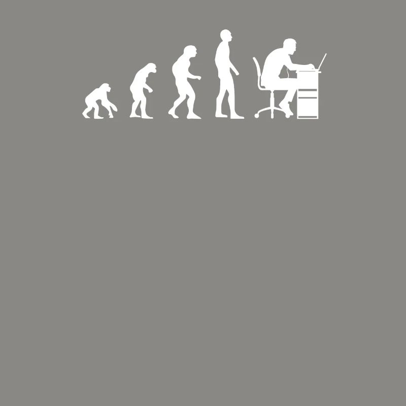 Programmer