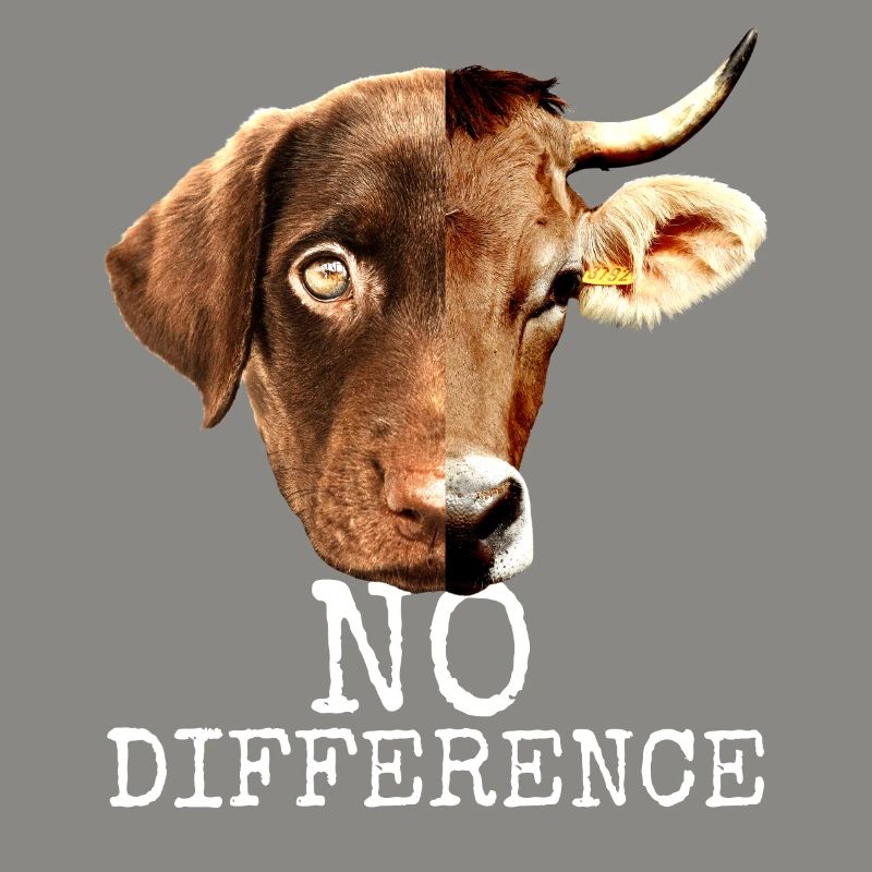 No Difference Pro Vegan Vegetarier Tierschutz