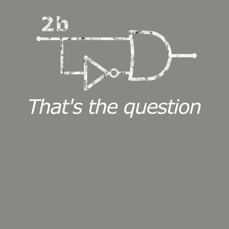 2b or not 2b Circuit - Informatiker Programmierer