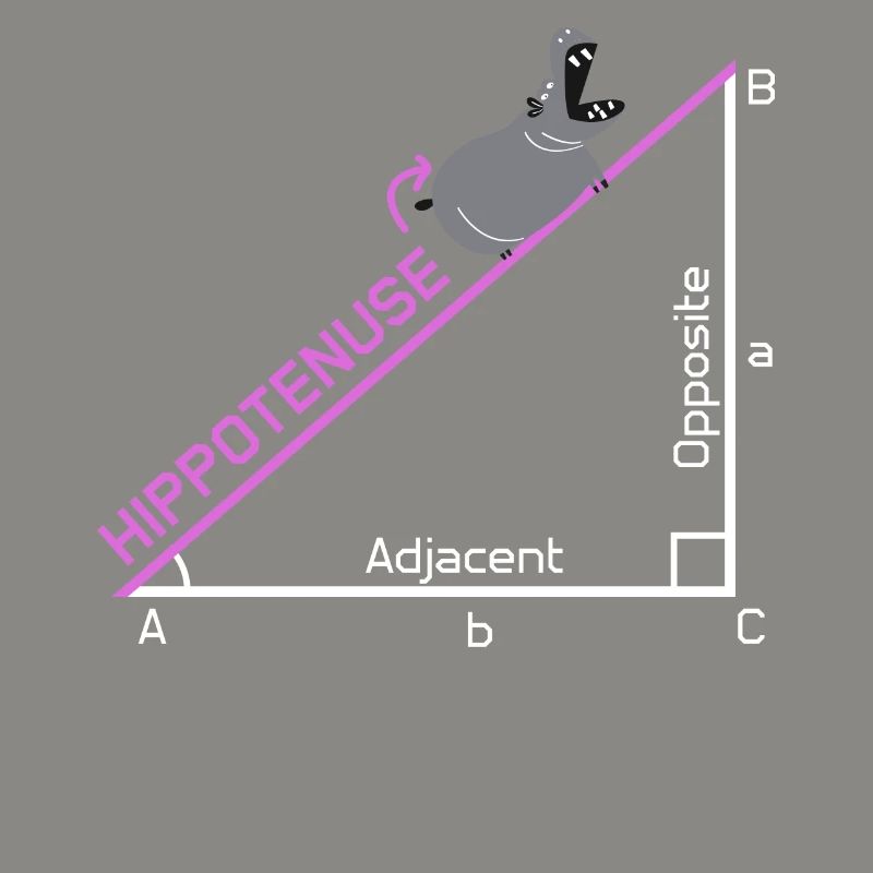 Funny Math Nerd Hippotenuse Joke Gift Design Idea