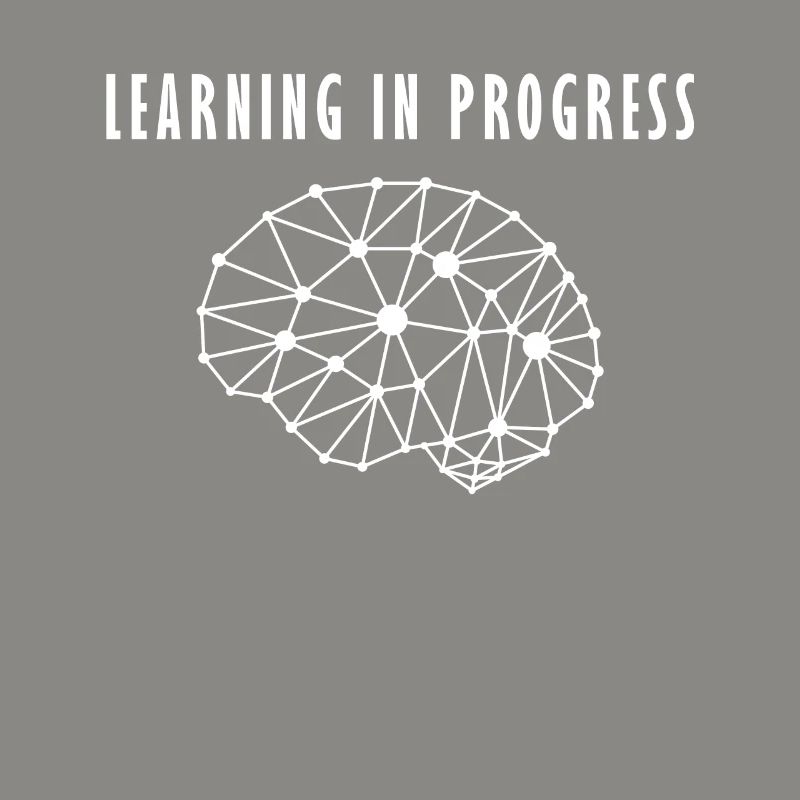 Human brain neuronal network learning process