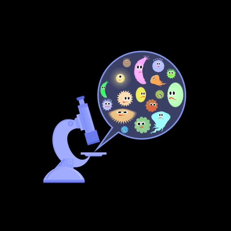 Germs under the microscope